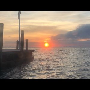 Meet your Posher, Dina